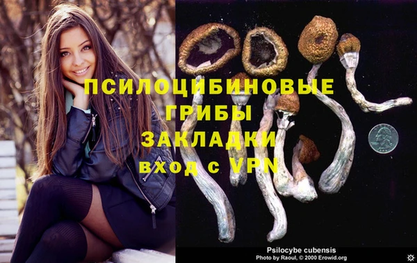 a pvp Алексеевка