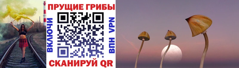 Галлюциногенные грибы мицелий  гидра рабочий сайт  Тольятти  хочу наркоту 