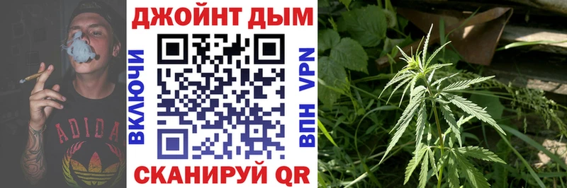 Каннабис сатива  Тольятти 